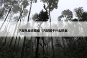 汽配从业资格证（汽配属于什么职业）