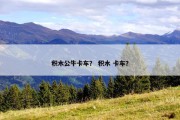 积木公牛卡车？ 积木 卡车？