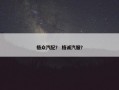 格众汽配？ 格诚汽服？