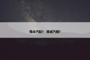 格众汽配？ 格诚汽服？