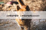 二手车过户选号？ 二手车过户选号b101028？