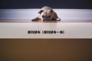 摩托轿车（摩托轿车一体）