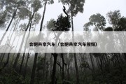 合肥共享汽车（合肥共享汽车视频）
