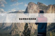包含李阳卡车的词条