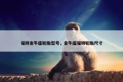 福特金牛座轮胎型号，金牛座福特轮胎尺寸