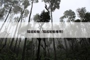 陆巡轮胎（陆巡轮胎推荐）