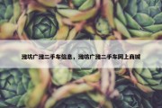 潍坊广潍二手车信息，潍坊广潍二手车网上商城