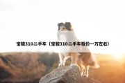 宝骏310二手车（宝骏310二手车报价一万左右）