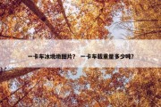 一卡车冰墩墩图片？ 一卡车载重量多少吨？