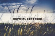 巨型矿用卡车，巨型矿用卡车图片