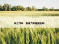 长江汽车（长江汽车是国企吗）