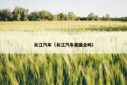 长江汽车（长江汽车是国企吗）