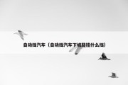 自动挡汽车（自动挡汽车下坡路挂什么挡）