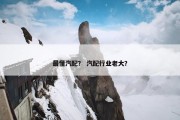最懂汽配？ 汽配行业老大？