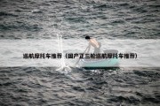 巡航摩托车推荐（国产正三轮巡航摩托车推荐）