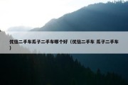 优信二手车瓜子二手车哪个好（优信二手车 瓜子二手车）
