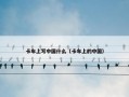 卡车上写中国什么（卡车上的中国）