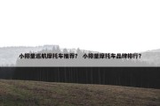 小排量巡航摩托车推荐？ 小排量摩托车品牌排行？