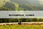重型卡车玩越野怎么样，大卡车越野车