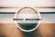 摩托车太子？ 摩托车太子车图片？