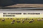 银川二手车交易市场在哪里？ 银川二手车交易市场在哪里?客货两用价格？