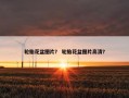轮胎花盆图片？ 轮胎花盆图片高清？