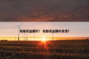 轮胎花盆图片？ 轮胎花盆图片高清？