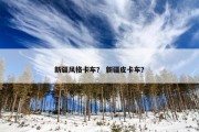 新疆风格卡车？ 新疆皮卡车？