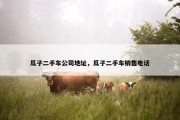 瓜子二手车公司地址，瓜子二手车销售电话