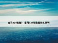 宝马325轮胎？ 宝马325轮胎是什么牌子？