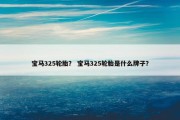 宝马325轮胎？ 宝马325轮胎是什么牌子？