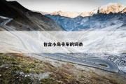 包含小岛卡车的词条