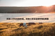河池二手车交易市场，河池二手车交易市场在哪里