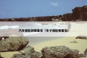 汽车保险到哪里交（车子保险哪里交）