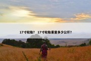 17寸轮胎？ 17寸轮胎重量多少公斤？
