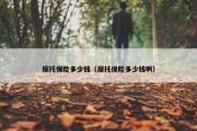 摩托保险多少钱（摩托保险多少钱啊）