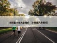 小排量汽车大全报价（小排量汽车排行）