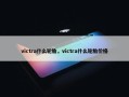 victra什么轮胎，victra什么轮胎价格