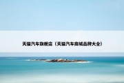 天猫汽车旗舰店（天猫汽车商城品牌大全）