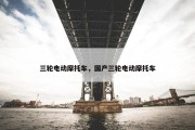 三轮电动摩托车，国产三轮电动摩托车