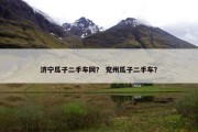 济宁瓜子二手车网？ 兖州瓜子二手车？