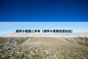 双环小贵族二手车（双环小贵族改装论坛）