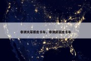 非洲大草原皮卡车，非洲武装皮卡车