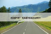 大头鞋汽车？ 大头鞋汽车长什么样子？
