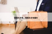 蔬菜大卡车，蔬菜大卡车图片