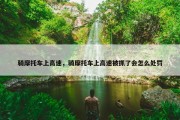 骑摩托车上高速，骑摩托车上高速被抓了会怎么处罚
