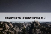 踏板摩托车轮胎气压（踏板摩托车轮胎气压多少bar）