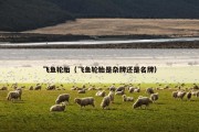 飞鱼轮胎（飞鱼轮胎是杂牌还是名牌）