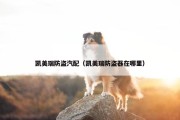 凯美瑞防盗汽配（凯美瑞防盗器在哪里）
