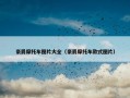 豪爵摩托车图片大全（豪爵摩托车款式图片）